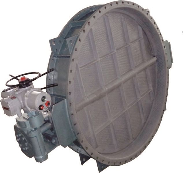 W020241121363312104946