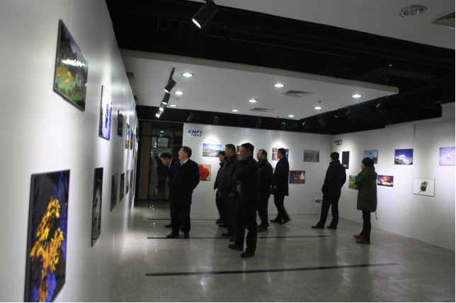 W020241120594179800561