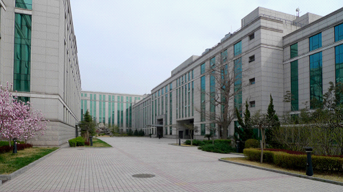 W020241119545511242182